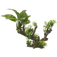 Aqua Della Flora Scape Aquarium Wortel