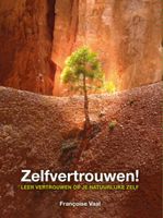 Zelfvertrouwen! - Francoise Vaal - ebook