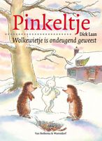 Wolkewietje is ondeugend geweest - Dick Laan - ebook