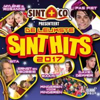 De Leukste Sint Hits 2017 - CD (8718521049690)