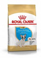 Royal Canin C-09008 Frances Bulldog Puppy - 10 kg