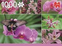 Premium Collection Puzzel - Holland Orchids (1000 Stukjes) - Puzzel;Puzzel (8710126183540)