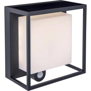 Lutec Curtis 6934601118 Wandlamp op zonne-energie met bewegingsmelder 3 W Warmwit Antraciet