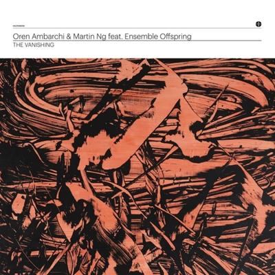 The Vanishing - LP (0680596876496)