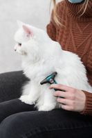 TRIXIE Carding Zwart, Turkoois Kat Hulpmiddel voor vachtverzorging (grooming) - thumbnail