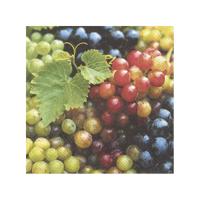 20x Gekleurde 3-laags servetten druiven 33 x 33 cm