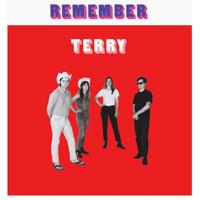 Remember Terry - CD (0828887009721)
