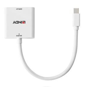 LINDY Monitor Adapter [1x Mini-DisplayPort stekker - 1x DVI] 38318 0.18 m