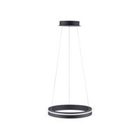 Paul Neuhaus Design hanglamp Q-Vito Ø 40cm antraciet 8410-13 - thumbnail