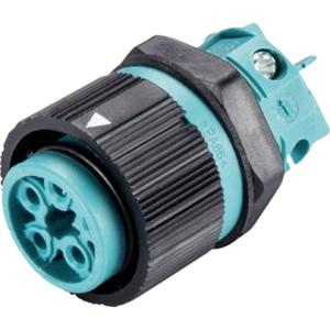 Wieland Electric 46.051.5053.6 Ronde connector Bus, inbouw Totaal aantal polen: 4 + PE Serie (ronde connectoren): RST® MINI 1 stuk(s)