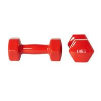 Active Panther dumbbell set 2x 4kg rood