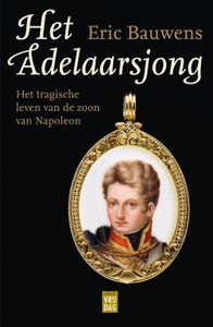 Het adelaarsjong - Eric Bauwens - ebook