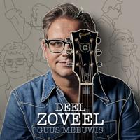 Deel Zoveel - LP (8720165530014)