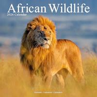 African Wildlife Calendar 2026 Square Wildlife Safari Wall Calendar - 16 Month