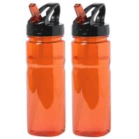 Kunststof waterfles/drinkfles/sportfles - 2x - oranje - met drinktuit - 650 ml