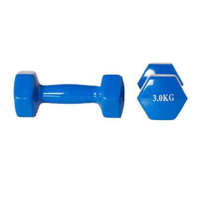 Active Panther dumbbell set 2x 3kg blauw