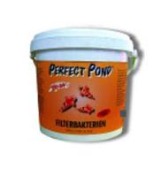 Perfect Pond Filterbacteriën 2500 gr voor Heldere Vijver & Stabiel Ecosysteem - Biologische Balans