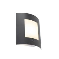 QAZQA Buiten wandlamp antraciet IP44 schemersensor - Emmerald