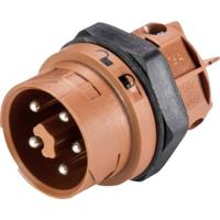 Wieland Electric 46.052.5050.4 Ronde connector Stekker, inbouw Totaal aantal polen: 5 Serie (ronde connectoren): RST® MINI 1 stuk(s)