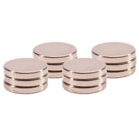 12x Ronde Koelkast/whiteboard Magneten 6 Mm Zilver - Magneten