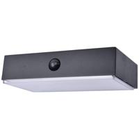 Lutec FADI 6939501330 Wandlamp op zonne-energie met bewegingsmelder LED 5 W Warmwit tot koudwit Zwart