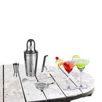 Cocktailshaker set RVS 5-delig inclusief 4x margarita glazen 250 ml