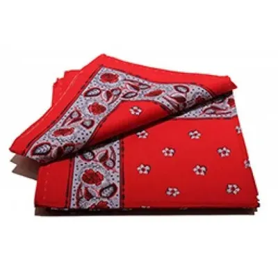 Boeren zakdoek rood Kleine Bloem 55 x 55 cm - Rode zakdoek - HRBZ02