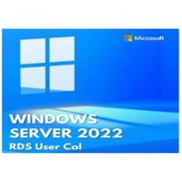 Windows Svr 2022 CAL 1 Gebruiker