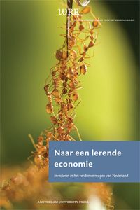 Naar een lerende economie - - ebook