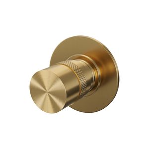 Stopkraan Brauer Gold Edition met Ronde Knop en Ronde Rozet Geborsteld Goud Brauer