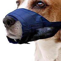 Pawise Grootte van de snuit, X-Small