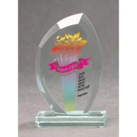 Viking Choice  Glazen trofee met Luxorjet kleurenprint en etui
