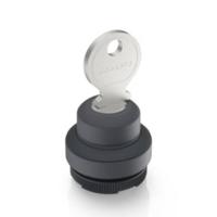 RAFI 1.30.275.101/0100 RAFIX 22 FS+ Schlüsselschalter 2 x 40° 1 pc(s)