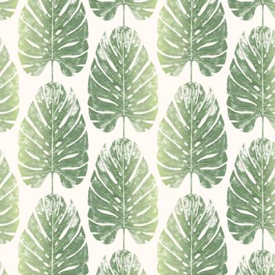 Evergreen Behang Monstera Leaves Wit En Groen