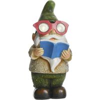 1x Buitenlamp/tuinlamp tuinkabouter beeldje George 24 cm boekenwurm solar figuur   -