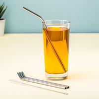 Metalen Rietjes (Set Van 4) - Zilver