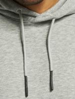 Only & Sons / Hoody onsCeres Life Noos in grijs