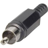 TRU COMPONENTS 1578855 Cinch-connector Stekker, recht Aantal polen: 2 Wit 1 stuk(s)