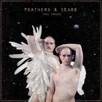 Feathers & Scars - LP (7350049515076)