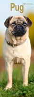 Pug Slim Calendar 2026 Dog Breed Slimline Calendar - 12 Month