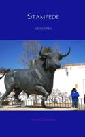 Stampede - Marius Zuurpruim - Paperback (9789402189223)