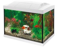 Superfish Start 20 Aquarium Kit Wit - 20L Compleet Startpakket met Energiezuinige LED