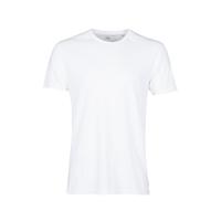 Colorful Standard Classic Organic Tee