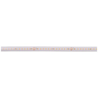 Deko Light Long Run 840405 LED-strip Energielabel: F (A - G) Met open kabeleinde 48 V 50 m Warmwit 1 stuk(s)