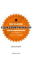 De kleine Csikszentmihalyi - Jeroen Ansink - ebook - thumbnail