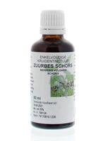 Natura Sanat Berberis vulgaris / zuurbes wortelschors tinctuur (50 ml)