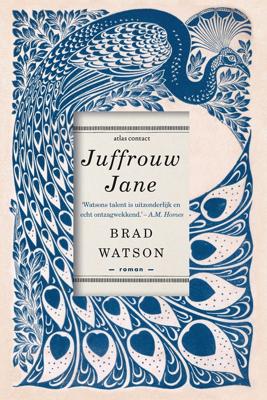 Juffrouw Jane - Brad Watson - ebook