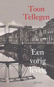 Een vorig leven - Toon Tellegen - ebook