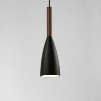 Hanglamp 'Pure 10' zwart E27 100mm DFTP - thumbnail