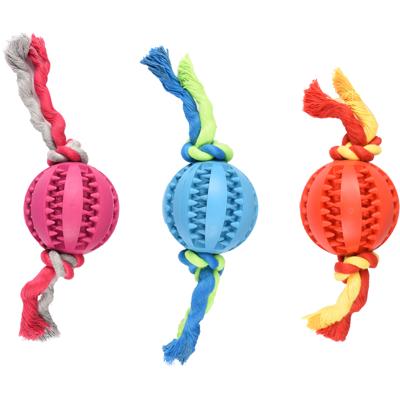 Hondenspeelgoed Rubber Dental Bal met Koord - 7 cm 20 x 7 x 7 cm Flamingo Multicolor